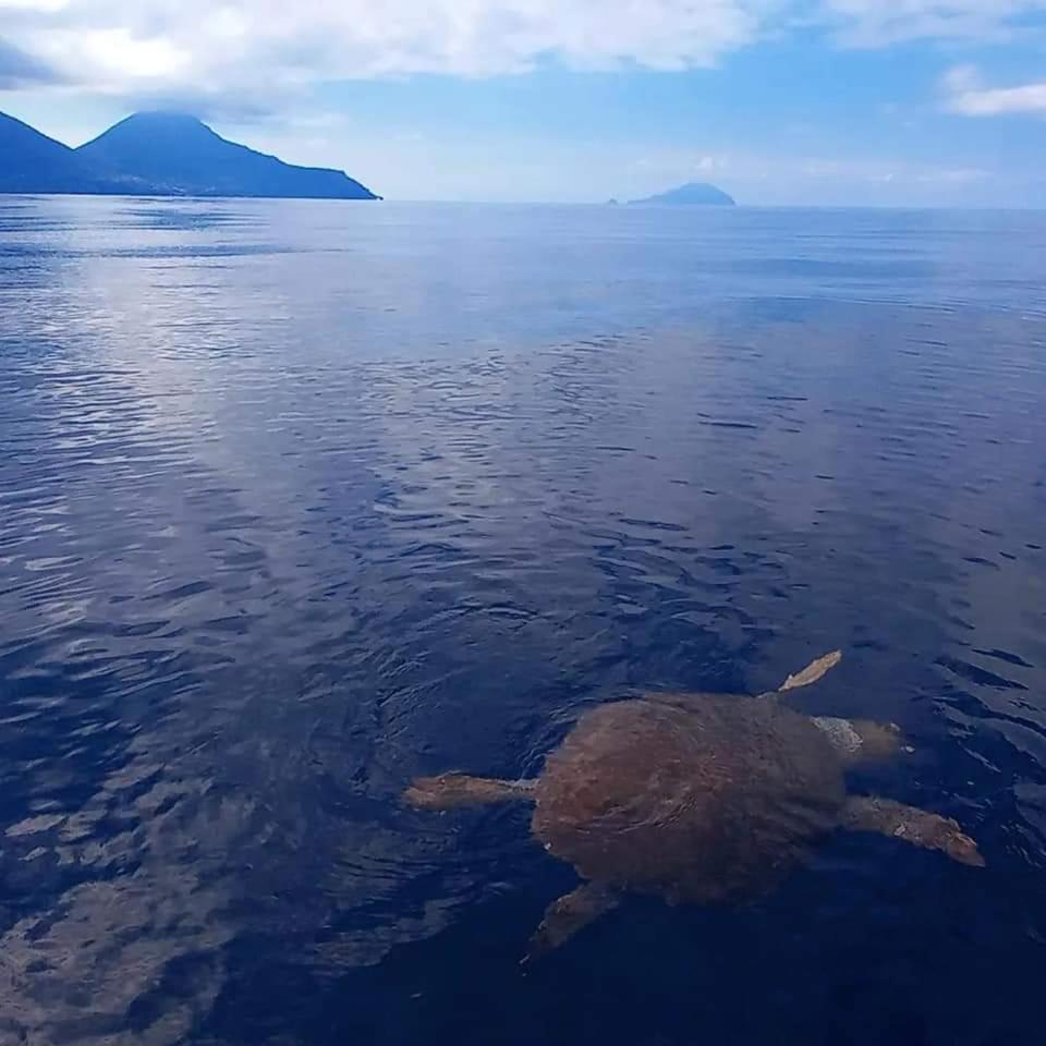 "Appartamento Del Mare Gliaca" Con Vista Isole Eolie,Ampia Terrazza,Wifi E Parcheggio Privato Gratuito Piraino Eksteriør bilde